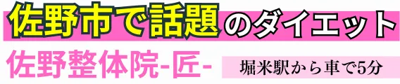 ダイエット専門｜佐野整体院-匠-